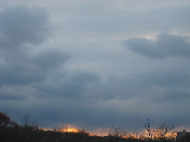Early evening sky (Alexandria, VA)